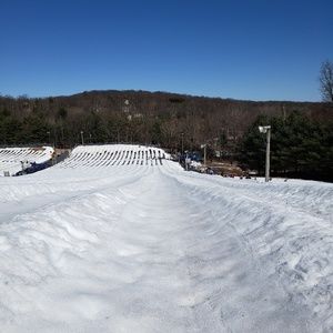 Meet your Posher, Maureen